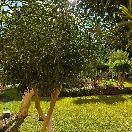 Apartamento Paraíso Frente Al Mar *