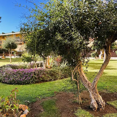 El Rocio Apartamento