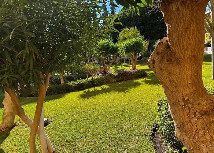 Apartamento El Rocio *